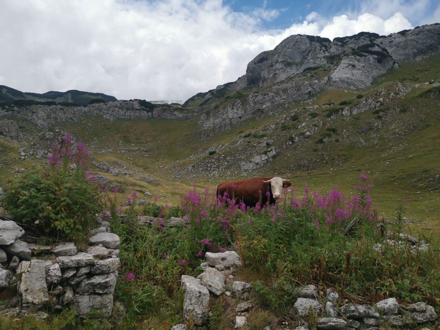 Park narodowy Durmitor