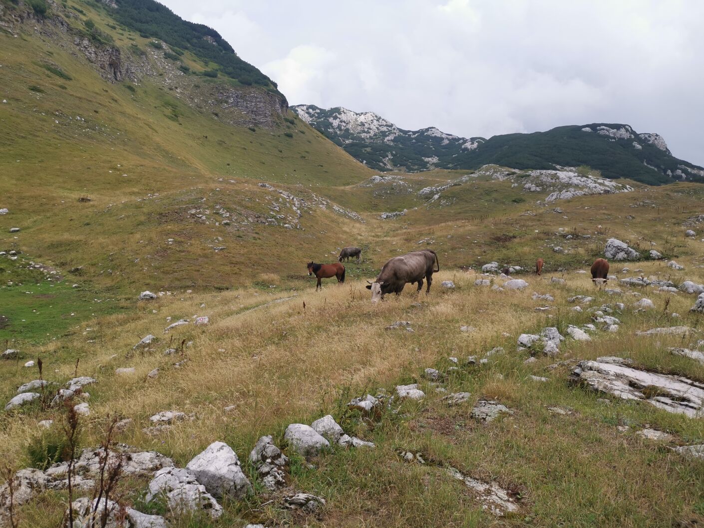 Park narodowy Durmitor