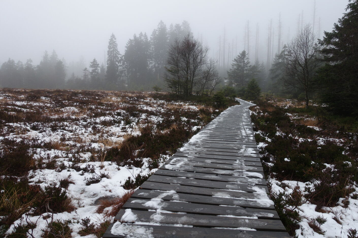 Góry Harz