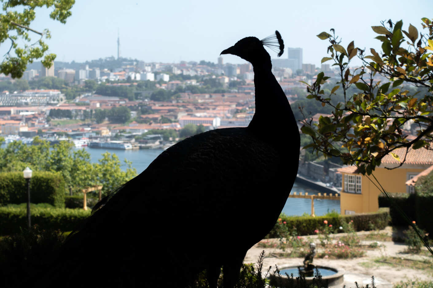 Porto in Portugal